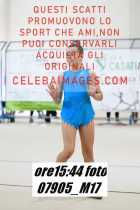 07905_M17-