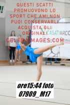 07909_M17-