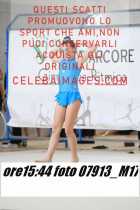 07913_M17-