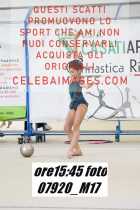 07920_M17-