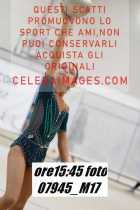 07945_M17-