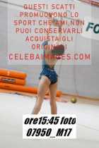 07950_M17-