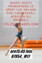 07954_M17-