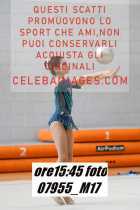 07955_M17-