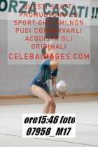 07958_M17-