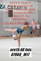 07960_M17-
