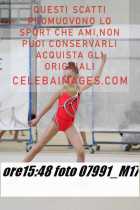 07991_M17-