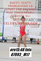 07993_M17-