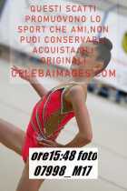 07998_M17-