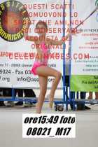 08021_M17-