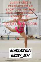 08037_M17-