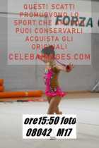 08042_M17-