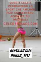 08056_M17-