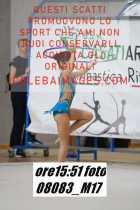 08083_M17-