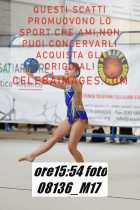 08136_M17-
