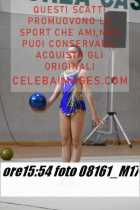 08161_M17-