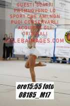 08185_M17-