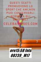 08239_M17-