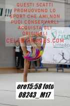 08243_M17-