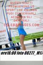 08277_M17-