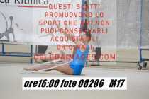 08286_M17-