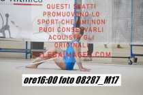 08287_M17-