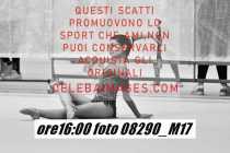 08290_M17-