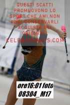 08304_M17-