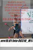 08310_M17-