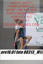 08313_M17-