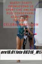 08316_M17-