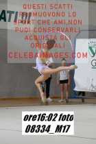 08334_M17-