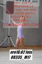 08335_M17-