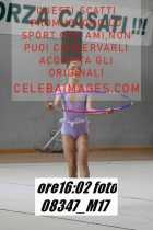 08347_M17-