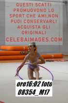 08354_M17-