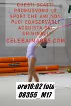 08355_M17-