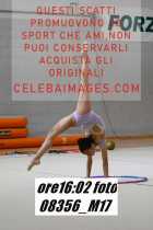 08356_M17-
