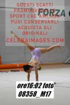08358_M17-