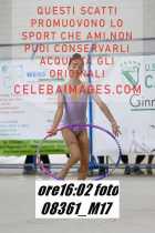 08361_M17-
