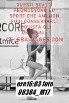 08364_M17-