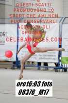 08376_M17-