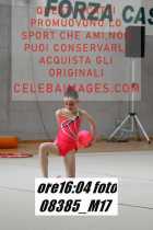 08385_M17-