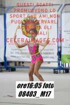 08403_M17-