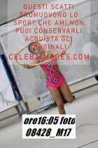 08428_M17-