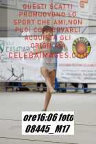 08445_M17-