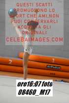 08460_M17-