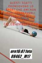 08462_M17-