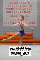 08495_M17-