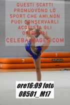 08501_M17-