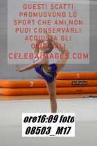 08503_M17-